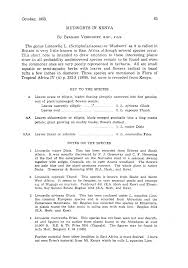 Image result for Limosella capensis