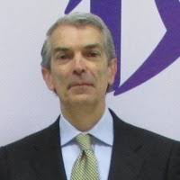 PDF) Portugaliae Monumenta Misericordiarum, vol. 2 Antes da fundação das  Misericórdias (coord. científica)