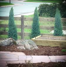 We provide full landscape design. Medora Upright Juniper Is The April 2017 Plant Of The Month Glacier View Landscape And Design Inc