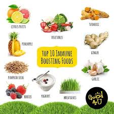 Top 10 Immune Boosting Foods Immune Boosting Foods Functional Food Food