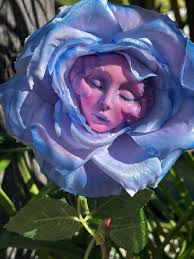 Buy DREAMING in LILAC and BLUE Rose Alice in Wonderland Talking Flowers for  Parties, Props and Vignettes by Sutherland Online in India