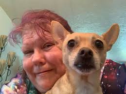 Hey y'all, I just joined and figured I'd post my little gremlin! His name  is Benny and he is the sweetest and most spoiled chihuahua ever haha. He  loves to go hiking