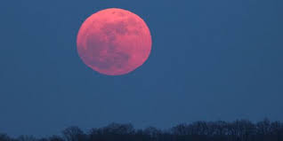 The super pink moon will begin to appear full starting sunday evening. Pink Moon April 2017 See The Full Moon On April 10