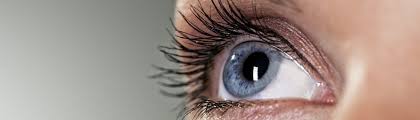 We did not find results for: Toronto Eye Care Optometrist Eyewear Shop Richmond University Vision Care