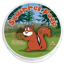 Image result for squirrel poop