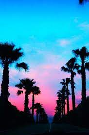 Pin By Angela On Wallpapers Palm Trees Wallpaper Pastel Sky Sunset Tumblr