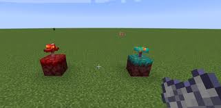 The best way to grow mushrooms there, then, is to bring some dirt and bonemeal from the overworld and use the huge mushroom method. Procedure To Get Warped Fungus In Minecraft Techilife