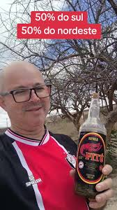 Balancing the Regions: Sul vs Nordeste