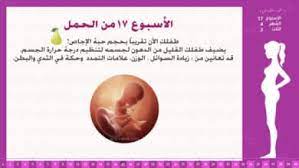 الأسبوع 26 من الحمل إرشادات وحقائق انا حامل