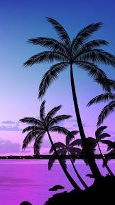 Https All Images Net Iphone Wallpaper Summer Hd 4k 175 Iphone Wallpaper Summer Hd 4k 175 Che Sunset Iphone Wallpaper Beach Sunset Wallpaper Sunset Wallpaper