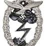 luftwaffe ground assault badge from hessenantique.com