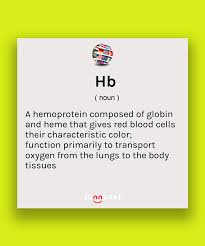 Pin On Learn English And General Terms