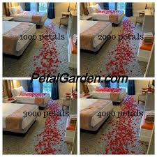 Pp is deducted only on the turn petal dance is first called. Petal Garden Inc Home Facebook