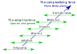 history of evolutionary thought wikipedia