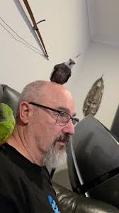 When he married me, he married the flock. He's thrilled about it. 😄