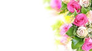Get amazing flowers photos hd as per your choice and requirements. Flower Backgrounds Hd Wallpaper Cave
