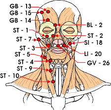 Dim Mak Pressure Points Charts Instruction Pdf