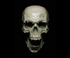 Dinosaur and human skeleton wallpaper, dinosaurs. Wallpaper Face Black Background Dark Sculpture Vampires Skull Skeleton Head Darkness Black And White Monochrome Photography Organ Bone Jaw 1920x1600 Wallpapermaniac 57449 Hd Wallpapers Wallhere