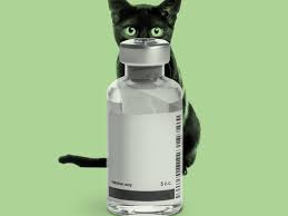 Measuring somebody's blood pressure gives us an medications for high blood pressure include: The Strange Tale Of Remdesivir And A Black Market Cat Drug The Atlantic