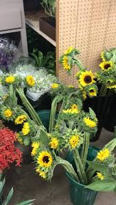 Pch offers fun quizzes on a wide range of topics. West Texas Wholesale Floral Home Facebook