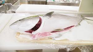 人生最高レストラン Tbsテレビ