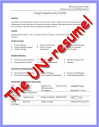 Cv Sample United Nations Cv Template Cv Design Template Curriculum Vitae Format