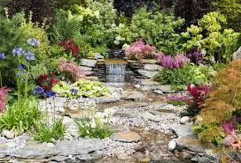 Trova immagini stock hd a tema garden rockery featuring gravel bed plants e milioni di altre foto, illustrazioni e contenuti vettoriali stock royalty free nella vasta raccolta di shutterstock. How To Create Maintain A Gravel Garden