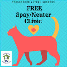Due to heavy demand caused by suspended services at other local clinics, we are currently booked. Gtx Residents Free Spay Neuter Clinic For Cats Georgetown Animal Services