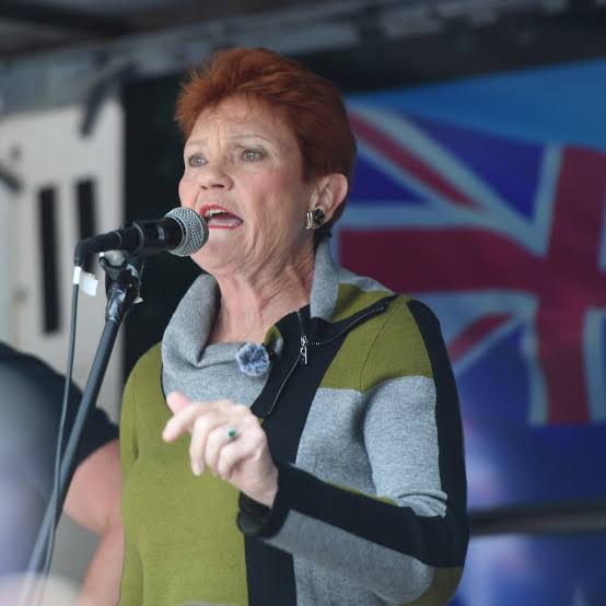 Pauline Hanson travelled to US on Gina Rinehart's private jet to attend CPAC | Australian politics | The Guardian