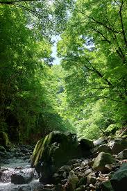 大きな代償 : フライマンの詩