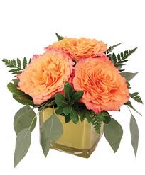 There's something in the air i want to go outside i see the golden sun up in the blue, blue sky and the clouds have gone away it's a beautiful day. Lewiston Florist Lewiston Me Flower Shop Blais Flowers Garden Center