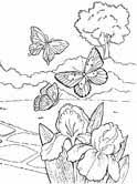 Butterfly kids coloring pages are a fun way for kids of all ages to develop creativity, focus, motor skills and color recognition. Butterfly Coloring Pages Page 2