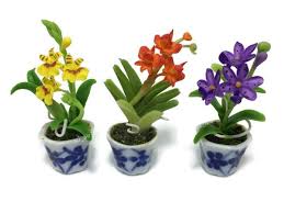 Check spelling or type a new query. 3 Pc Miniature Flower Clay Dollhouse Fairy Garden Mini Plant Trees Ceramic Paint Furniture Bundles Artificial Flowers Tiny Orchid 055 Buy Online In Andorra At Andorra Desertcart Com Productid 52395723