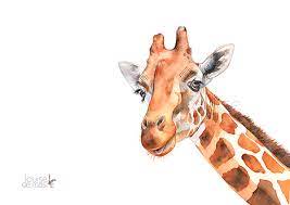 Download Watercolor Giraffe Louise De Masi Skillshare