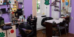 Cliente, toate de unica folosinta si un ambient placut datorat aromoterapiei si muzicii ambientale. Rush Hair Studio Cluj Napoca Frizerie Cosmetica Extensii Gene Ep