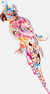 Pelajari jenis lovebird untuk lomba sampai yang termahal di artikel ini. Budgerigar Lovebird Silhouette Bird Hewan Parkit Png Pngegg