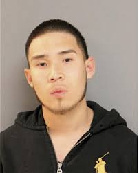 ᐅ Illinois Criminal Records 2009-2025