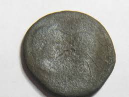 The picture is an eagle with a snake in the beak on top of a coctus. So These Exist Snake Cowboys Coin Talk