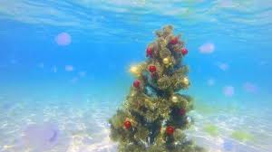 Christmas trees, wreaths, garlands, ornaments, tableware, lights, stockings, and other holiday accents can transform any space into a festive wonderland. Christmas Ornaments On Beach Stock Video Footage 4k And Hd Video Clips Shutterstock