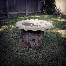 Diy Tree Stump To Bird Bath Conversion Diy Bird Bath Bird Bath Planter Tree Stump Decor