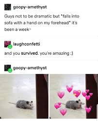 Week Month Year It S Been A Life In 2021 Tumblr Funny Relatable Wholesome Memes