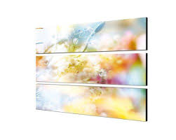 Pastell Blumen Wandbild 140x100 Cm 3 Teiliges Fotowandb Https Www Amazon De Dp B00hf6o98g Ref Cm Sw R Pi Dp U Blumen Wandbild Pastell Blumen Wandbilder