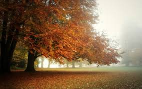 Upload and select from the four different enlargements we generate. Large Desktop Wallpapers Wallpaper Cave