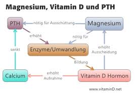 Das bedeutet, der körper kann eine größere menge sehr schnell aufnehmen. Vitamin D Und Magnesium Dr Schweikart Verlag