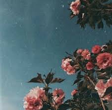 Pin By Bella Hansen On Oboi Flower Aesthetic Pink Flower Painting Aesthetic Art