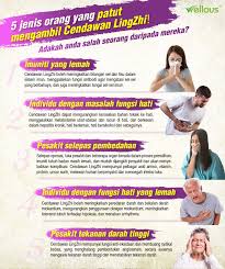 Mereka yang dijangkiti penyakit hepatitis b seperti darah, air liur sebarang simptom. Rahsia Bio Lingzhi Raja Herba Kesihatan Diiktiraf Kkm