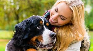 It is on the first floor of the building, immediately on your left as you proceed through the main entrance. Veterinarians In La Mesa Ca Vca Grossmont Animal Hospital