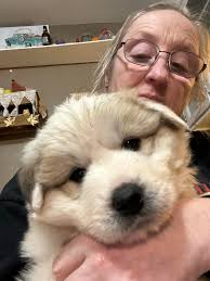 A double dangle from Daisy…