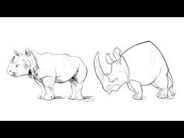 Illustration Draw Cartoon And Realistic Animals Beginner Freepik Course Trailer Eng Youtube In this post you can learn animal.