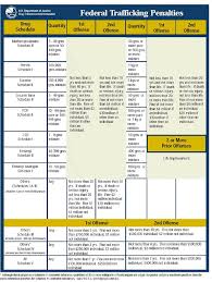 Fed_trafficking_chart Columbus Criminal Attorney